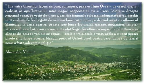 Zilele Oraşului Târgu Ocna 2010